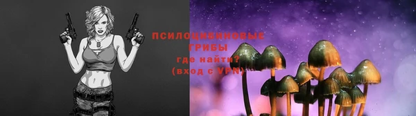 СК Няндома