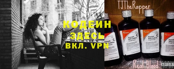СК Няндома