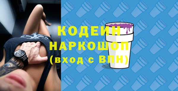 СК Няндома
