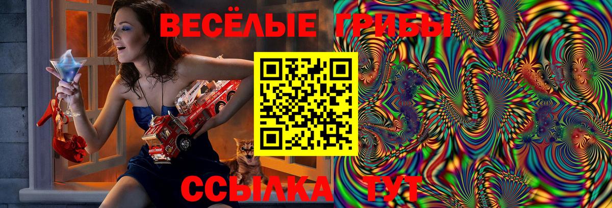 Псилоцибиновые грибы мицелий  цена   Псилоцибиновые грибы GOLDEN TEACHER  Астрахань 