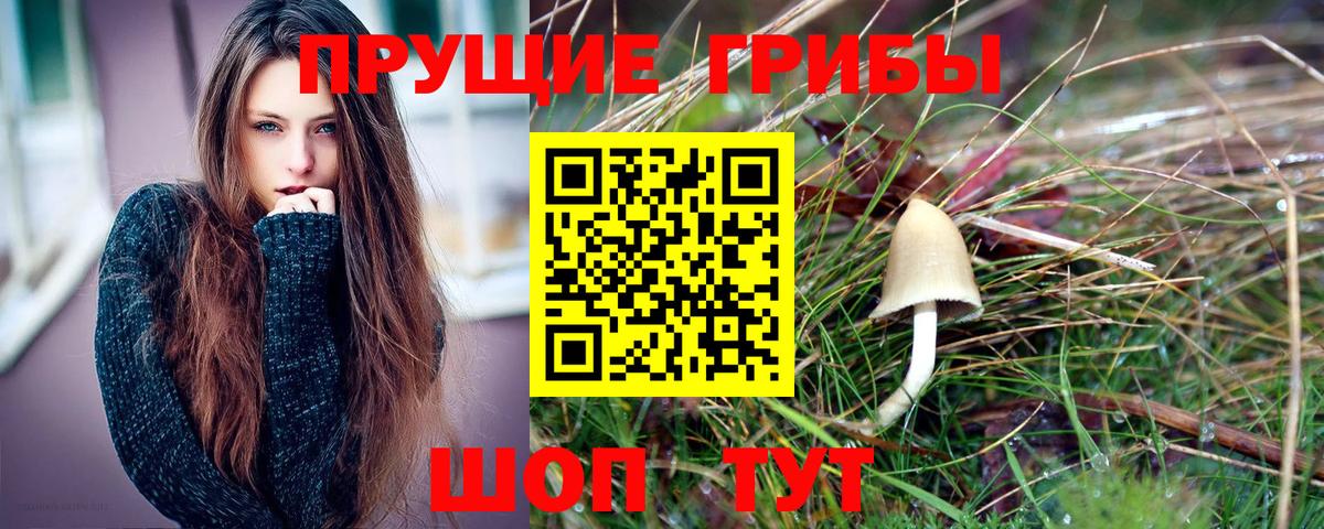 где продают наркотики  Псилоцибиновые грибы MAGIC MUSHROOMS  Вход с VPN  Галлюциногенные грибы ЛСД  Астрахань 