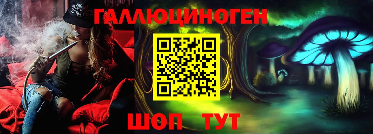 Галлюциногенные грибы Psilocybe Астрахань